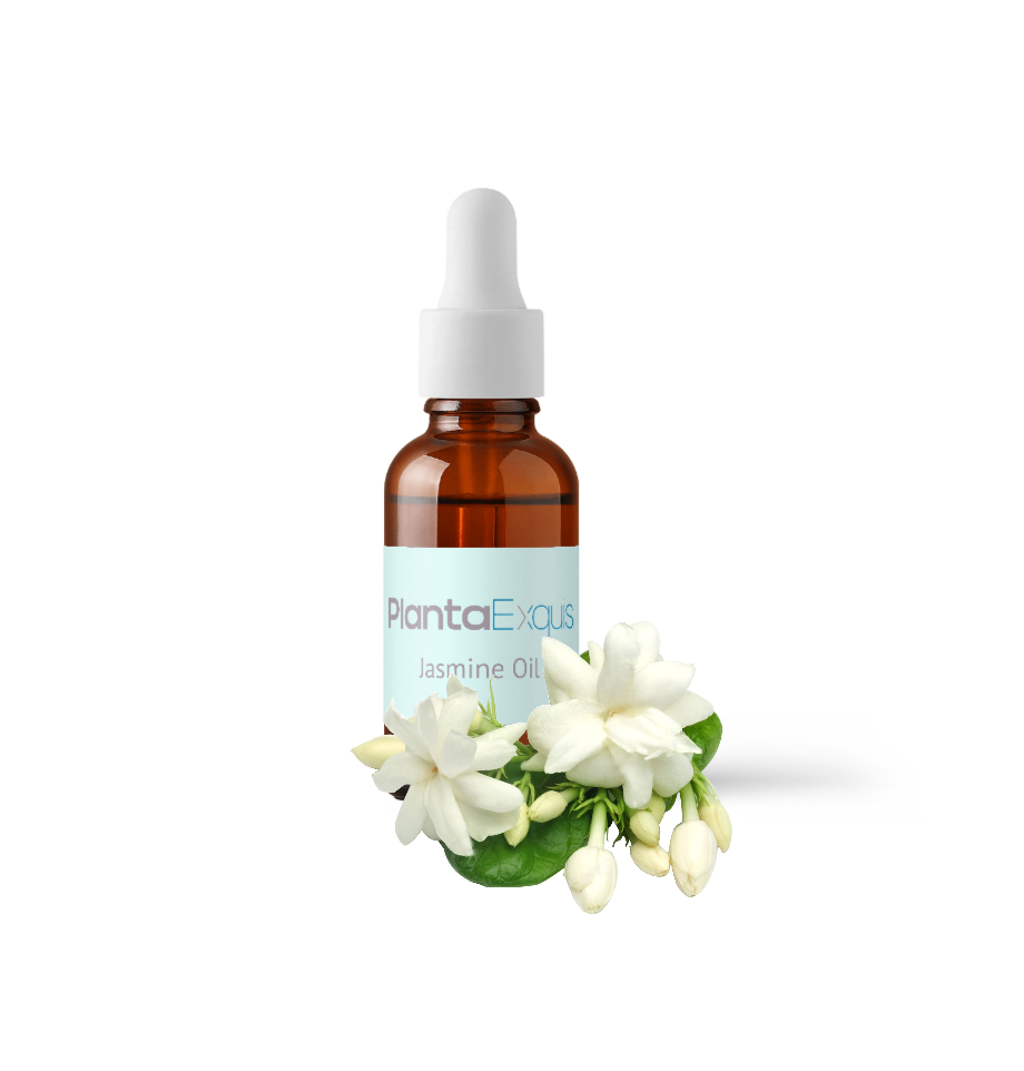 Jasmine Absolute Oil
